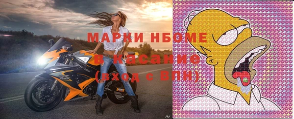 индика Арсеньев