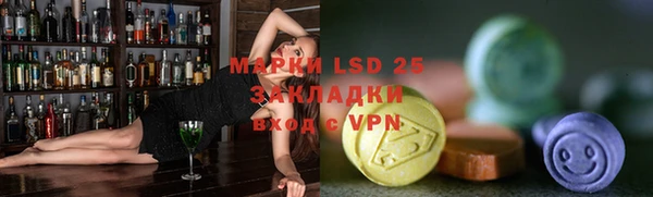 индика Арсеньев