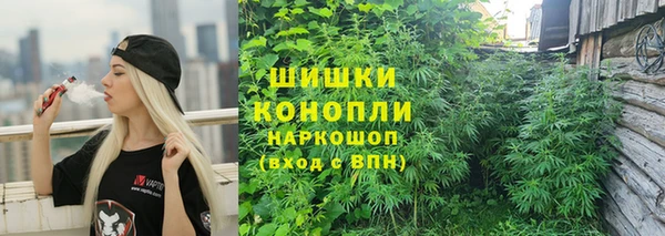 индика Арсеньев