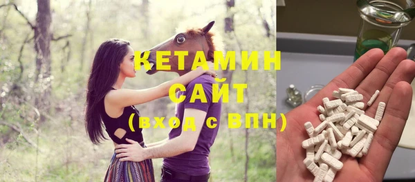индика Арсеньев
