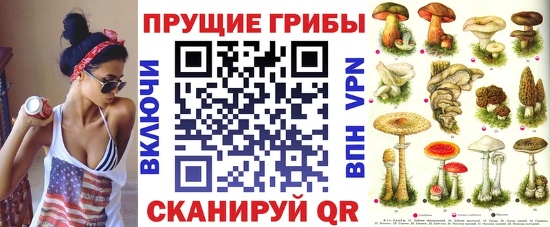 мега рабочий сайт  Куса  Галлюциногенные грибы ЛСД 