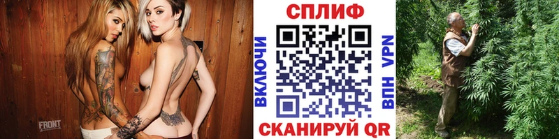 Шишки марихуана сатива  мега как зайти  Куса 